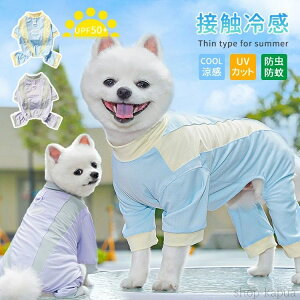 yz^ N[EFA  t  L  ڐG⊴  UVJbg h   Ȃ hbOEGA Lbg bV ΍