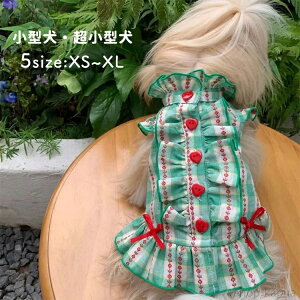 yzL s[X SNSf tďH [EGA  ybg hbOEGA LbgEGA ^ ^ Jo[I[ p[X