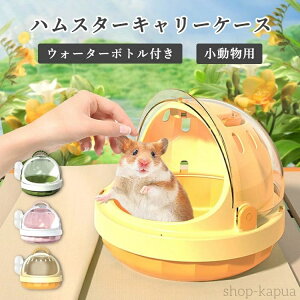 yzP[W p EH[^[{gt t ʋC ybgOoP[W ړ o Up s ʉ@ t X tFbg