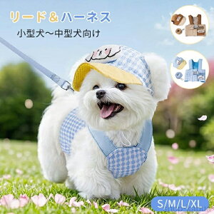 yzn[lX[h  ^ ^ L~\[ Xq 3_Zbg  hbOEGA LbgEGA  ʋC L ybg