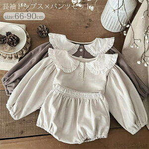 yzxr[ ZbgAbv LbY gbvX pc ㉺Zbg 傫݂  EFbg g[i[ Zbg p[X q