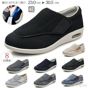 yzY fB[X C RtH[gV[Y Xb|  ubN O[ L 4E y  nrC