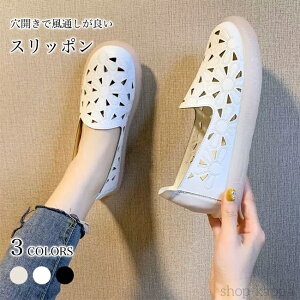 yzXb| fB[X [t@[ ԕ J tbgV[Y y  V[Y PUU[  t C Dw }^jeBV[Y