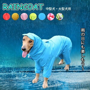 yzCR[g ^ ^ ^  CR[g ₷ p C|` J Jbp Sg 