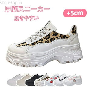 yzXj[J[ C _bhXj[J[@ Xj[J[@22.0cm`25.0cm X|[c tďH~ x[W 5cmq[ 7color