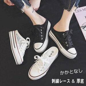 yzCq[Xj[J[  ƂȂ fB[X C 6cm T_ T_ wlC YbN グ