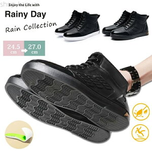 yzCV[Y V[gu[c Xj[J[ o[V[Y o[u[c Y JC J J ɂ