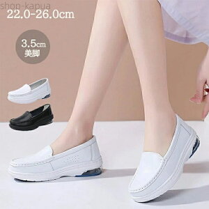 yz  Xb| fB[X U[ Xj[J[  3.5cmq[ [t@[ GANbV ɂ