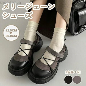 yz[t@[ [WF[V[Y 5cmq[ ؂ւ ّf ʃt@Xi[  ubN wC