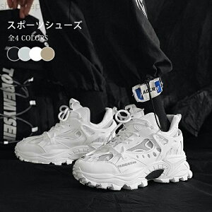 yz_bhXj[J[ ₷ X|[cXj[J[   Y fB[X nCJbgXj[J[