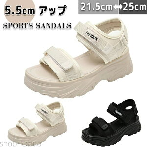 yz T}[V[Y fB[X V[Y  X|[cT_ EhgD Xgbv ʃt@Xi[