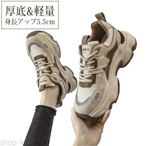 yz fB[X _bhXj[J[ V[Y C V[Y fB[X r Ȃ JWA ₷