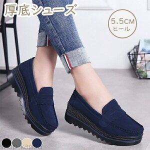 yz[t@[ Xj[J[ 5.5cmq[ Xj[J[ pvX vbgtH[ Xb|Xj[J[