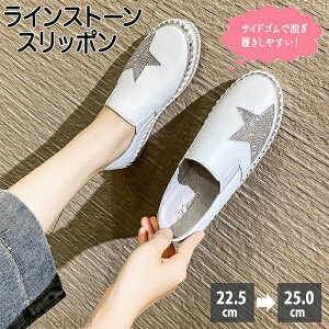 yzXb| fB[X [t@[ Xj[J[ CXg[ LL  3cm C Ȃ ꂢ RȂ