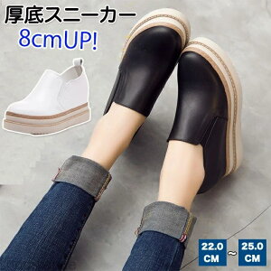 yz[t@[ Xj[J[ Cq[Xj[J[ fB[X Xb| v JWA ₷ ؂