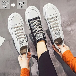 yz fB[X Xb| v JWAV[Y RtH[gV[Y Xj[J[ slip-on 