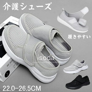 yzfB[X L y @V[Y  C nrV[Y Xj[J[ ₷ ₷ 