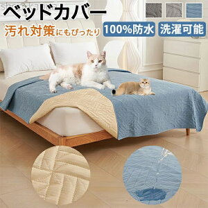 yzh  xbhXvbh }bgXJo[ }`Jo[ Lg \t@Jo[ _u Z~_u 􂦂