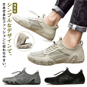 yzK y ~ X|[c ɂ JWA lC bVʋC Xj[J[ j ₷ Y