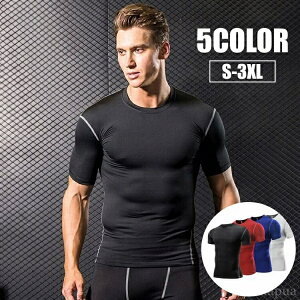 yzVv EhlbN  g[jOEFA gbvX X|[cEFA 傫TCY Y