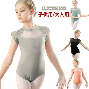 yzXJ[gȂ ʋC ̑ oG K oGEFA oGI^[h qǂ LbY l 120cm _X