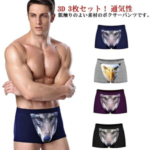 �y���������z3���g �p���c �A���_�[�E�G�A �C���i�[ �� �����Y �O�� �j���p ���̍\�� �V���[�c �T 3���Z�b�g �ʖʃf�U�C��