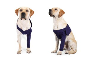 yzybgPA pih~ Ђp Iănr nr Œ ֐ߕی  ֐߃veN^[O p GT|[^[