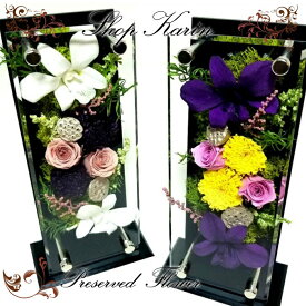 楽天市場 お供え 花 プリザーブドフラワー 花 観葉植物 花 ガーデン Diyの通販 楽天市場 お供え 花 プリザーブドフラワー 花 観葉植物 花 ガーデン Diyの通販
