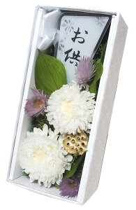 yyz    Zbg  vU[uht[  d ͂Ȃ   ~ V~ ~ ފ  @v ybg   iԍ015