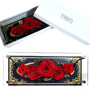 vU[uht[ Mtg t[@v[g o a v[g Mtg   ͂Ȃ  a ސEj j LO JXj Vzj NX}X 