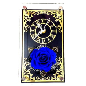 vU[uht[ Mtg v v[g o a v[g Mtg   ͂Ȃ  a ސEj j LO JXj Vzj NX}X ̓ 