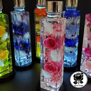 n[oE LEDR[X^[t   ~ vU[uht[ hCt[ I[_[Ch@a j JXj Vzj Mtg ޏzCgf[ Mtg{bNX