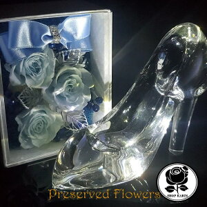 KX̌C LEDR[X^[t vU[uht[ Os[ a v[g Mtg NX}X  LO ސEj uU[uht[ j    o