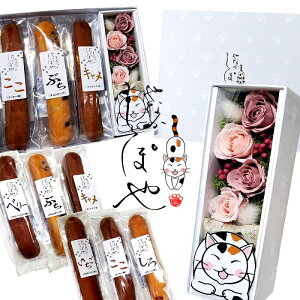 ˂̂ vU[uht[ Zbg̔ ~  [w  yY َq Mtg a Ăَq 킢 j ̓ ̓  蕨 A J ˂ 