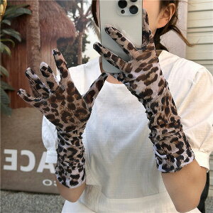 A[Jo[ ⊴ bVK[h rJo[ Ă΍ UV΍ fB[X