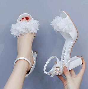 p[eB[T_ fB[XT_ EGfBOT_ nCq[ ԉ  񎟉 N