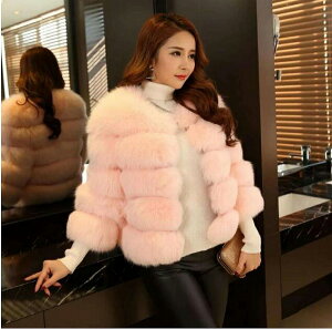 fB[X AE^[ ͑єJWA t@[R[g Lcl̖є S| h ʋ V[gR[g