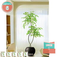 1000円OFFクーポン 大型 フェイクグリーン 枯れない インテリアグリーン 人工観葉植物 ソファ横 コーナー…