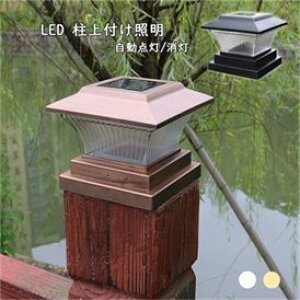 y100~`1000~OFFN[|zzzyz 和\[[ \[[Cg led  k tƖ 哔 \[[pl O O 뉀 _/ K[fCg hJ 