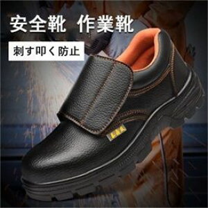 @SC ƌC K ϖ [LO V[Y Obv h [N} ƌC Ռz jp  |c y ʋC