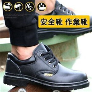  SCY y 񂺂C |c ʋC ϖ hh ϊ\[ H  AEghA Xj[J[ [N V[Y Z[teB[V[Y