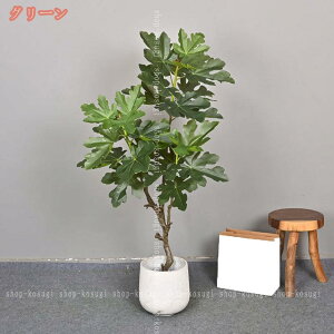 観葉植物 和風 和モダン」の人気商品一覧・価格比較 - 価格.com