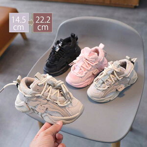 qC Xj[J[ LbY j̎q ̎q bV  lC WjAV[Y K _炩 q C  gh t@bVXj[J[ y LbYV[Y o 풅