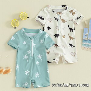  LbY  xr[  j̎q p[X  I[C   { UVJbg xr[XC~O q WjA  킢 q LbY C v[