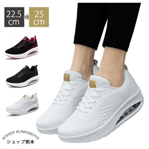 Xj[J[  EH[LOV[Y D^ i[XV[Y 5cm ɂ Ȃ EH[LOV[Y ʋC _CGbgV[Y bV p y ƌC Ōt wlC