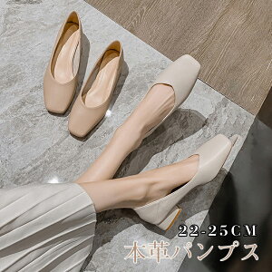 pvX fB[XV[Y fB[XC TCY 傫TCY ɂȂ 3cmq[ ₷ EȂ rWlX ʋΒʊw  tH[} w ItBX d ʋ ʊw 22~25cm