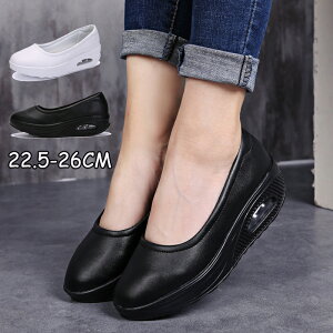 i[XV[Y fB[X  Xb| _CGbgV[Y JWA WjA D^ Ōt  ʋC Vv x[VbNXj[J[ NbV D ƌC p ʋC t