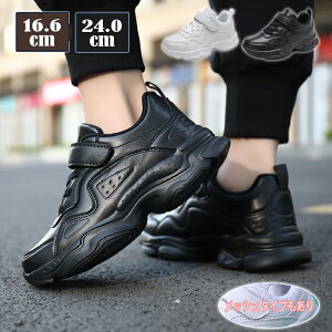 Xj[J[ j̎q qC ̎q _XV[Y qbvzbv bV _XXj[J[ t  H ~ Xj[J[   ^ C ʊwC WjA qǂC }WbNe[v zCg ub