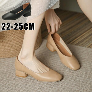 [t@[ fB[X pvX V[Y [q[ y  ItBX d rWlX Ȃ 4cmq[ ₷ rWlX  b L ʋ ʊw   ʋ q[ t