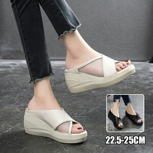 Xbp fB[X  T_  ~[[V[Y L ʋCz ؍t@bV T_ fB[X Ȃ O Xbp z[Xbp  K 